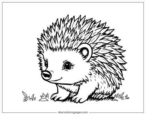 Coloring Pages Hedgehog