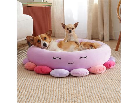Squishmallows has launched pet beds on Amazon | The Independent