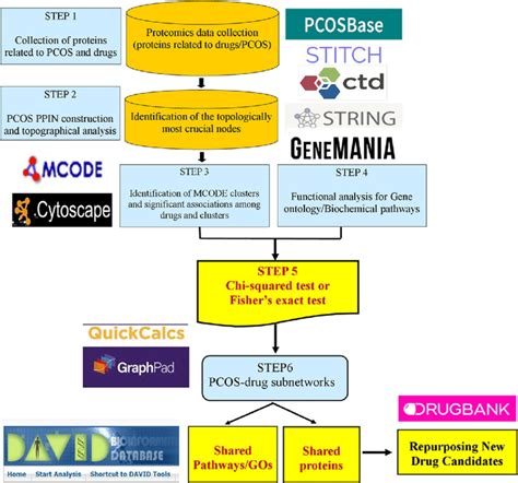 Graphical Workflow 的图像结果