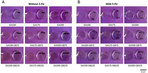 Development of Drug-Loaded Gelatin-Based Hydrogel Films for Impaired ...