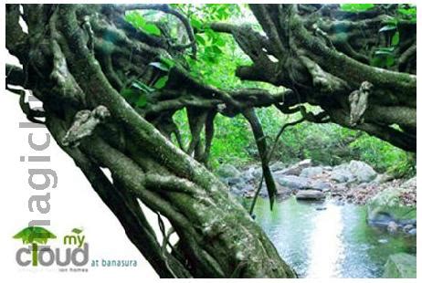 My Cloud in Sultan Bathery, Wayanad: Price, Brochure, Floor Plan, Reviews