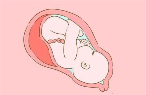 怀孕最后一个月胎儿长多少斤？孕36-40周胎儿发育标准 - 知乎