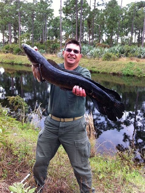 Florida Fish Species