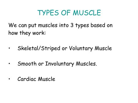 Image result for Muscular System Lecture Video