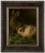 Image result for Rabbit Original Paintings