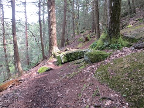 Bay Circuits: Bay Circuit Trail Sherborn MA Rocky Narrows.