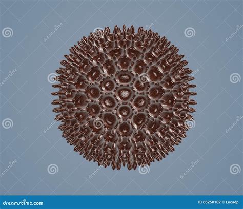 Under the Microscope, Pollen Stock Illustration - Illustration of ...