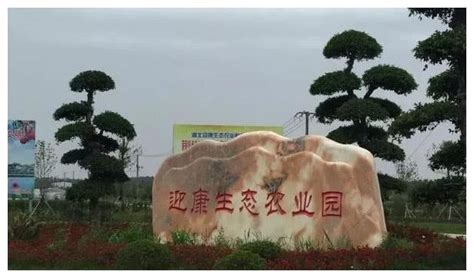 湖北荆州江陵的一个镇，是全县唯一的全国重点镇，距县城仅4公里