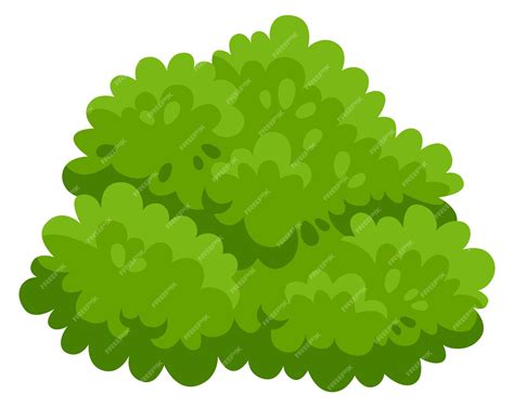 Shrub Cartoon