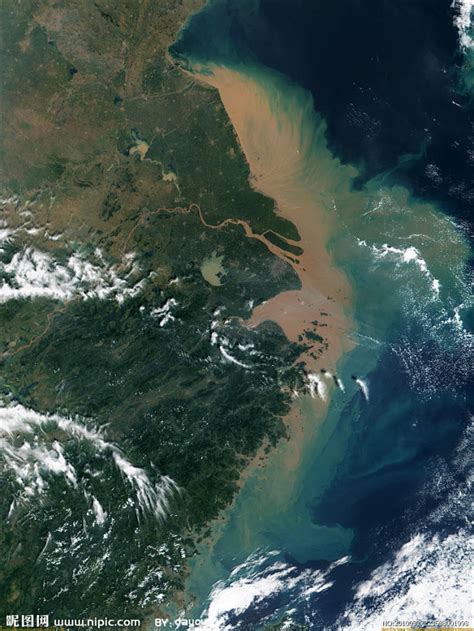 长江入海口卫星图