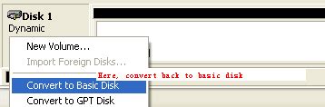 Image result for How to Convert Dynamic Disk to Basic