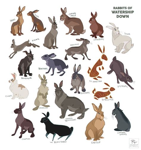 Ritwell on | Watership down, Animal drawings, Rabbit artwork