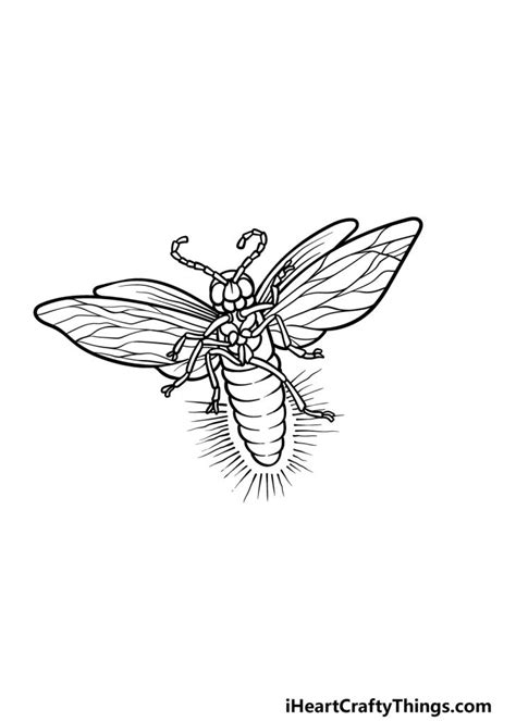 Firefly Drawing - How To Draw A Firefly Step By Step
