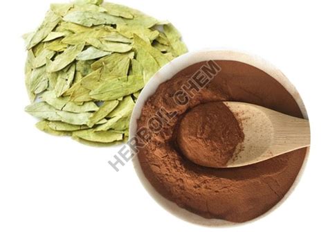 Senna Leaf Extract Manufacturer, Exporter from Palghar
