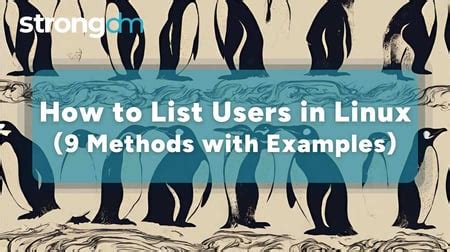 Image result for How to Create User without Useradd Command