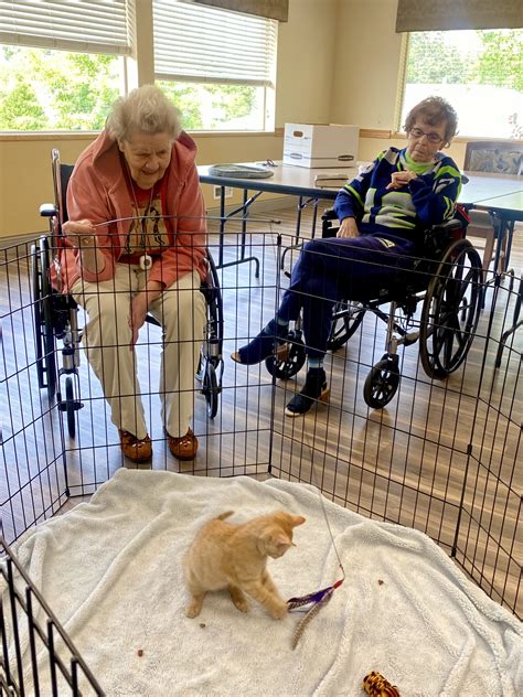 Photo Gallery | Mt Baker Care Center