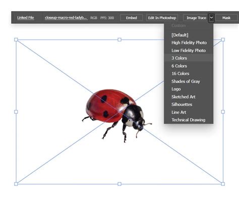 Image result for Create Vector Image Illustrator