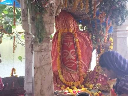 Ancient and famous Vat trees: ये हैं भारत के प्राचीन व प्रसिद्ध ‘वट वृक्ष’