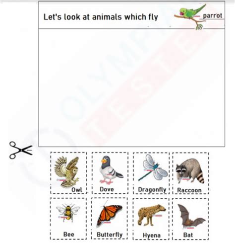 Let's Fly with Animals! Free Kindergarten Cut and Paste Worksheet ...