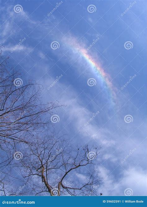 Bright Sun Dog Rainbow Lights Up Cloud Stock Image - Image of natural ...