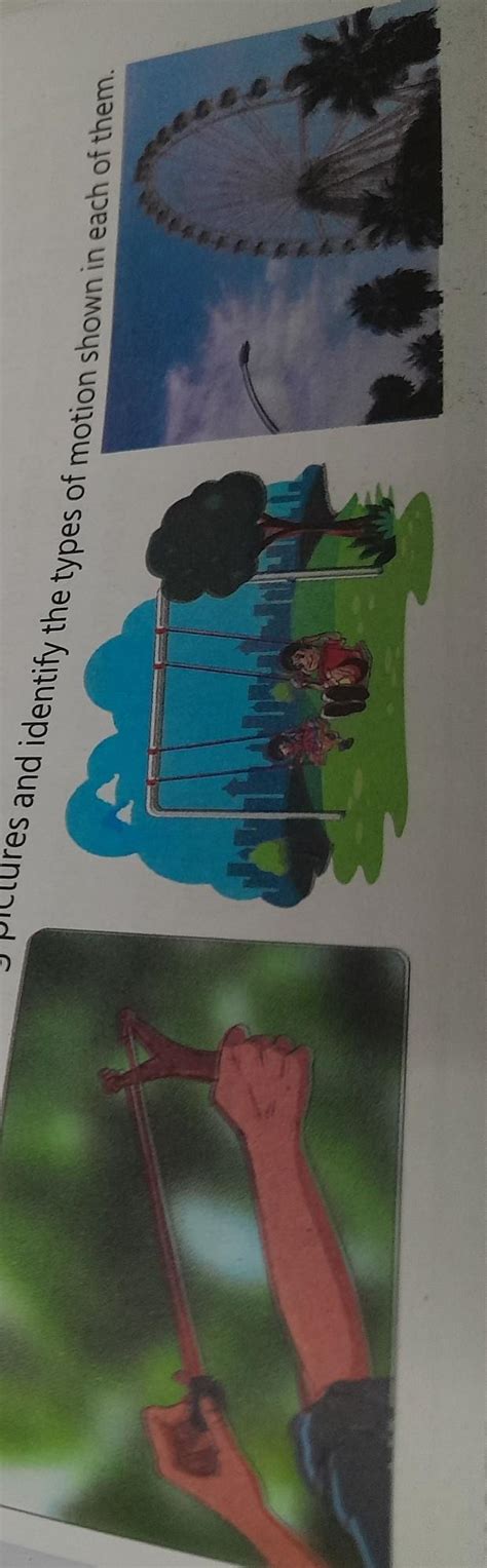 a. Look at the following pictures and identify the types of motion ...