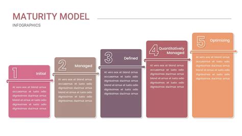 Maturity Model Examples 的图像结果