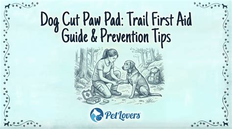 Dog Cut Paw Pad: Trail First Aid Guide & Prevention Tips (2026) - PetLovers