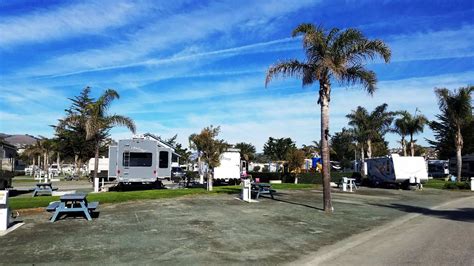 Rv Camping In Pismo Beach - forest camping wallpaper