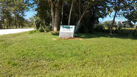 Woodland Nursery Spanish Lookout