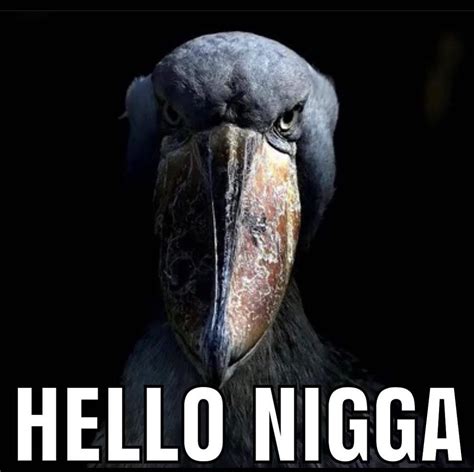 Hello Nigga: Image Gallery | Know Your Meme