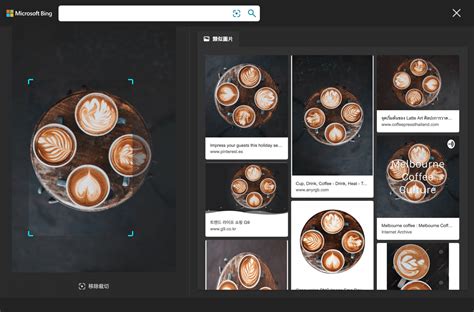 Bing搜图 的图像结果
