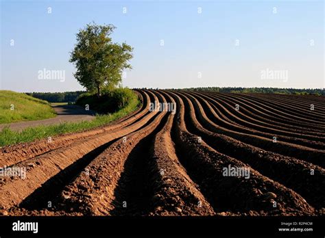 Image result for Geometry Study Notes Landscape