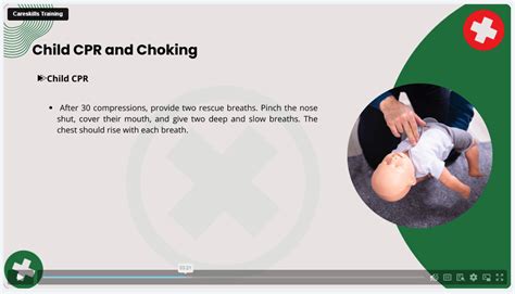 Image result for First Aid Course Videos for Basic