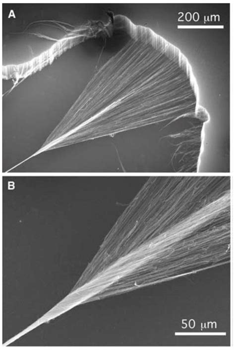 High Ampacity Carbon Nanotube Materials