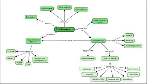 Image result for Class 10 Science Life Processes Mind Map