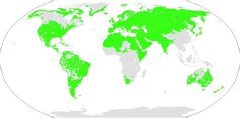 Image result for Proto-Human Language