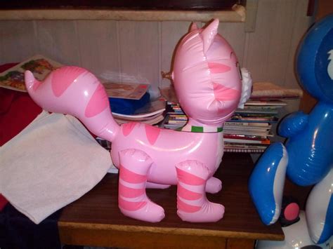 Image result for Inflatable Custard Cat