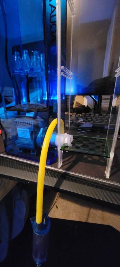 Image result for BioCube Filter Setup