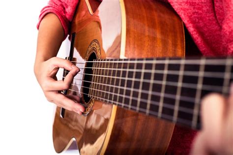 Image result for Stringed Instruments