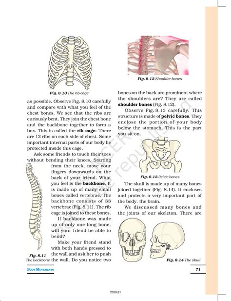 Image result for Class 6 Science Body Movements