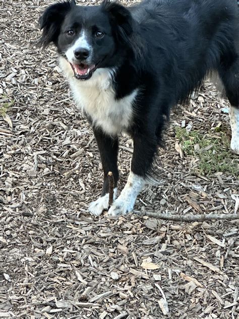 Image result for Pushing PO Fluids