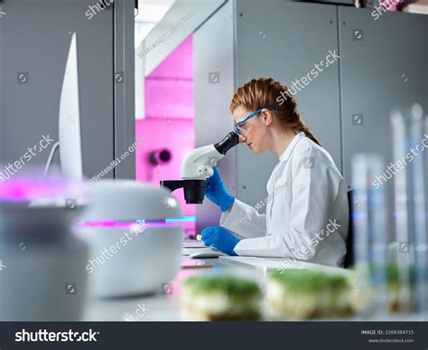 Laboratory Microscope 的图像结果