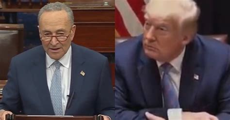 Schumer Compares Trump to Nixon While Calling For Investigation Into US ...