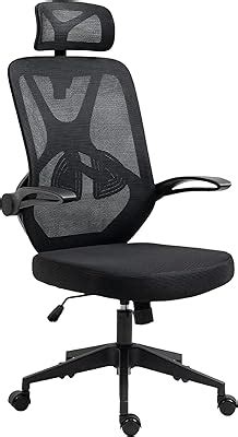 Wipro Furniture Adapt High Back Mesh Ergonomic Home-Office Chair with ...