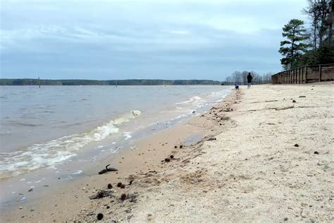 Jordan Lake Swimming Guide: Best Beaches and More - Lake Access