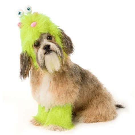 Halloween Costumes For Dogs At Petsmart at Jackson Ribush blog