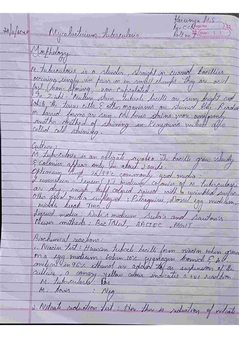 Mycobacterium tuberculosis - Cardiovascular System - Studocu