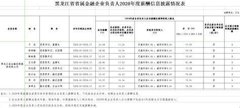 省属企业负责人2020年度薪酬分配情况表 - 集团动态 - 黑龙江省金融控股集团有限公司