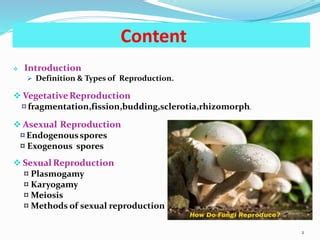Fungi Definition Types Characteristics Reproduction