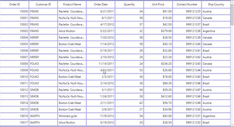 Image result for Forms DataGrid